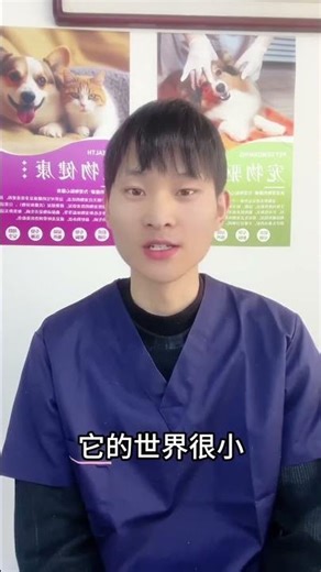 Why Do Cats Prowl at Night? Unveiling the Mystery