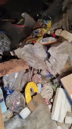 kem paddle pop ngày xưa ký ức tuổi thơ 9x