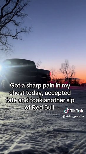 Aidin Popma on TikTok