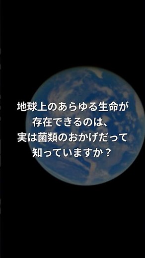 菌類は地球の〇〇｜知らないと損する真実