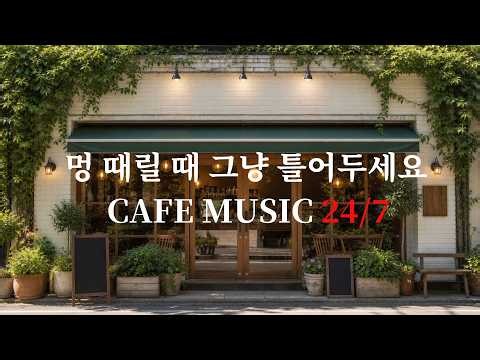 [Playlist]🔴24시간 라이브 매장 음악☕️[중간광고없음]카페 뮤직 🎧 그냥 틀어두세요, 차 마실 때, 일할 때, 잠잘 때.. 부드러운 선율 | Premium Cafe BGM