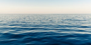 What I've Learned about Learning