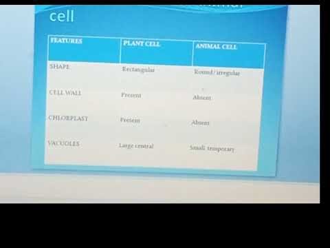 Cell | Discovery of Cell | Unicellular & Multicellular Organisms | Class 6 Science Full Lecture
