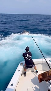 33K views · 3.7K reactions | 6 guys on board, total quietness. 55lbs of pressure at the button in low gear on a stubborn 550 Black released on Monday. @james_david224 and @rhoulker Ryan taking turns on the leader. Purchased 5 sat tags for this trip, programming should be finished in the next day or so, hope to deploy all 5 on this trip. We need more data on these magnificent animals. Video by BadCo pilot @michaelniedrich | Bad Company Fishing Adventures | Facebook