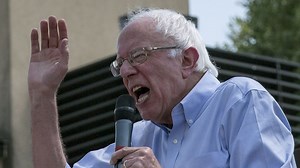 Poll: Sanders grabs lead in New Hampshire
