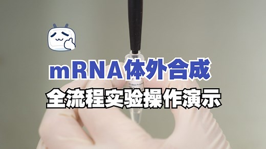 mRNA体外合成（IVT）全流程实验操作演示-诺唯赞-诺唯赞-哔哩哔哩视频