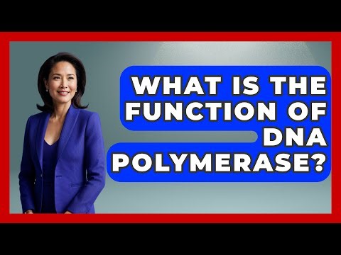 What Is The Function Of DNA Polymerase? - Biology For Everyone