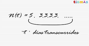 Qué son y cómo se obtienen las funciones exponenciales