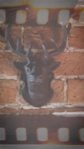 From 1st March right through to the end of May 2026, you’ll be seeing the Greyhound Trust on 📺 TV… and we cannot wait for you to see it! Here is a taster with some behind the scenes. 💚 | Greyhound Trust Hall Green