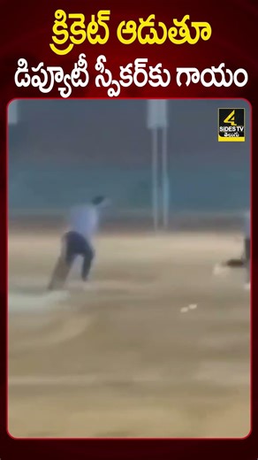 క్రికెట్ ఆడుతూ డిప్యూటీ స్పీకర్ కు గాయంAP Deputy Speaker Raghurama Krishnam Raju