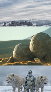 Las almohadillas de los mamuts no solo servían como amortiguadores y estabilizadores, también eran sensores naturales capaces de detectar vibraciones muy ligeras en el suelo. 🦣 Sensibilidad extrema Dentro de las almohadillas había una red de terminaciones nerviosas que les permitía percibir cambios mínimos en la superficie. Esto incluía vibraciones producidas por otros animales, movimientos de manadas o incluso fenómenos naturales como corrientes de agua bajo el hielo. 🌍 Función en la superviv