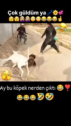 👑❤️ZEYNO❤️44👑🤞 on Instagram: "TAKİP LÜTFEN 🌼💞Yerde yatan nasılda korkup kaçdı ya 😂😂#zeyno #keşfet #kesfetteyiz #keşfetedüş #viral öneçıkarbeni s💤🌼💤💤"