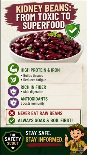 Never Eat Raw Kidney Beans! ⚠️ Hidden Toxin That Can Make You Sick | The Safety Scout