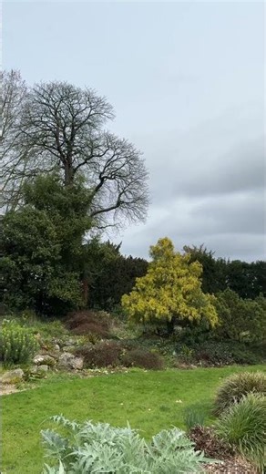 Soothing 🍃🍁🪾 #music #automobile #travel #nature #viral #trending #trendingmusic #shorts #france