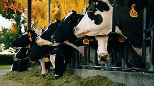 5K views · 207 reactions | There has never been a more exciting time...