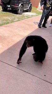 Reminiscing this beautiful moment ❤️ | Freya