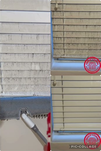 How to remove mould from blinds ?