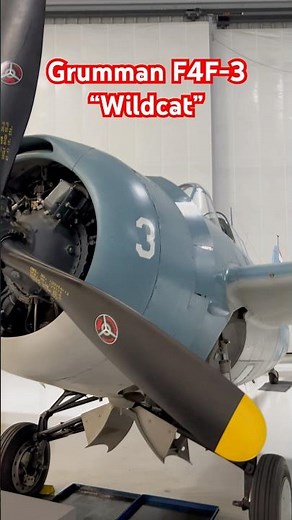 Grumman F4F-3 Wildcat #ww2aircraft #grumman #f4f