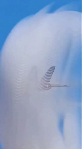 Fighter Jet SONIC BOOM Shock Wave 💥 #shorts #militaryaircraft