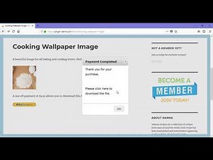 Checkout Process Overview of PayPal Express Checkout Plugin