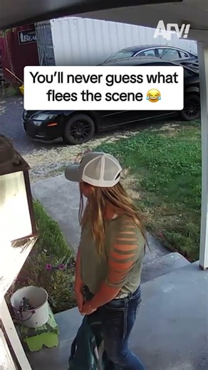 You'll never guess what flees the scene 😂