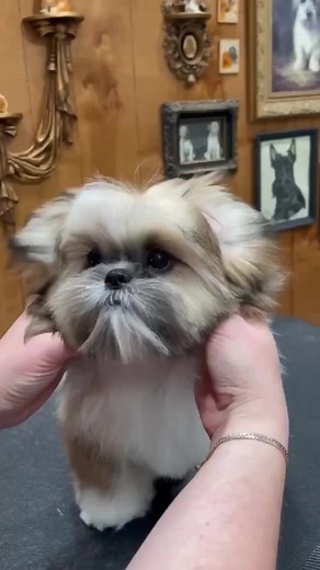 Free cute faces guide and Faces Masterclass in my bio ✂️📧✨