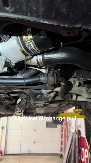 Amazing Audi Car Service Insights