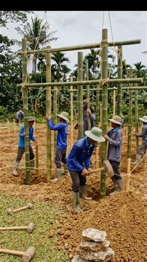 From Empty Land to Luxury Bamboo Villa 😍 Full Build Timelapse #shorts