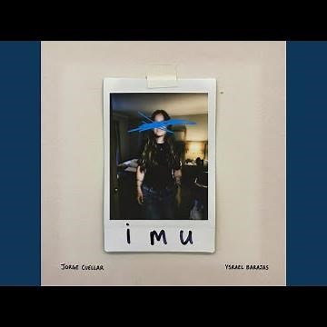 IMU