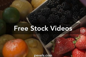 Black Cherries Videos, Download The BEST Free 4k Stock Video Footage & Black Cherries HD Video Clips