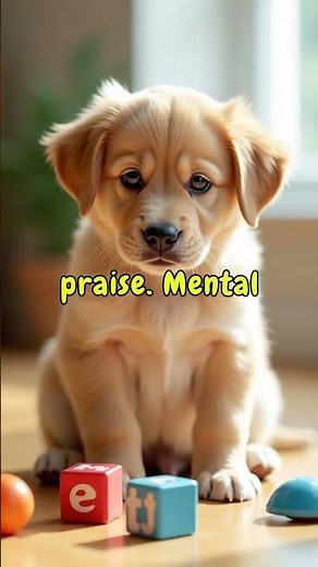 Patience Pup: Controlling Hyperactivity in Young Dogs