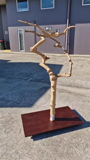 New Unique Java Floorstands for Birds Available Now