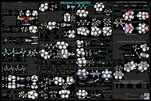 ORGANIC CHEMISTRY Science Educational Poster Chart - Quick Study 24x36 Inch Wall Art Paper Print - Etsy