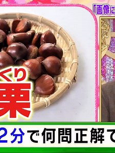くりぃむクイズ ミラクル9 動画 2021年12月22日 【JSHOW.US】 Part 2