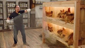 Flex Seal Paste TV Spot, 'Chicken Coop'