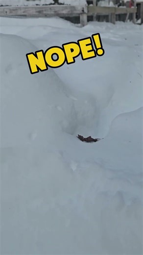 Breaking: Rebel Base Located Behind My Shed! ❄️🏔️