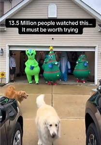 Adult Easter Egg Hunt in Inflatable Costumes!