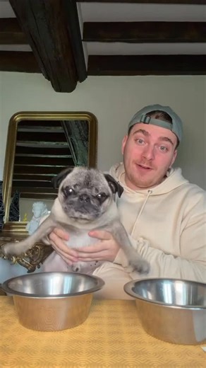 Cyril Schreiner on Instagram: "Albert est fan de @dogchef_fr ! En plus, vous bénéficiez de -30% sur la boîte d’essai grâce à mon code : CYRIL30 Collaboration commerciale"