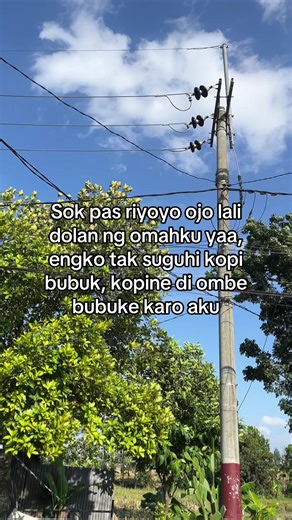 Noo. (@manotaluremawon)’s videos with suara asli - OM. NIRWANA COMEBACK