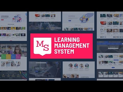 Education LMS WordPress Theme for Online Courses — MasterStudy