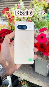 Google Pixel 8 Camera Test! #shorts