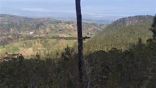 Videos de volanta (@lavolanta54) con “sonido original - volanta”