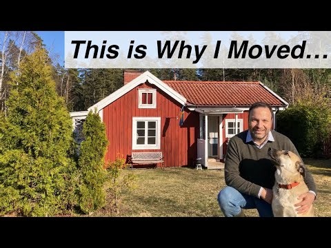 Starting Over in Sweden With My Dog: Projects & Adventures (Ep 29)