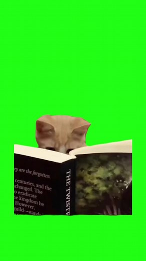 Miau 4x - Cats Green Screen Video