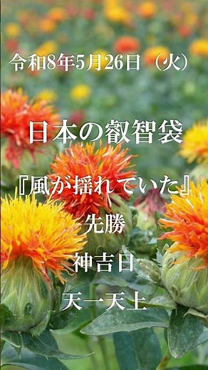 【令和8年5月26日】紅花栄×四緑木星｜最上紅花と縁の話 続きは本編で