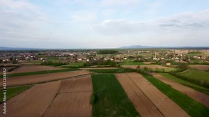 Arial drone view of freshly plowed field field ready for new planting and seeding season. Growing winter wheat. Winter crops on arable land. Colorful field.