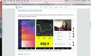 猫哥 - Dart编程语言基础入门教程 - 01 前言