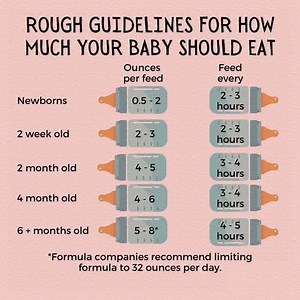 5.1K views · 233 reactions |  Newborn Feeding Guide  Every 2–3 hrs...