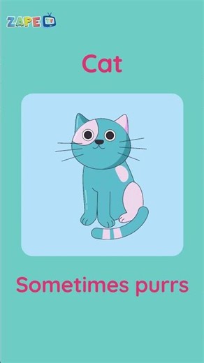 All About Cats 🐾 | Fun Facts for Kids | Learn About Pet Animals #zapetv #kids #shorts
