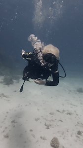 14K views · 112 reactions | Coming like a shark https://oceanicdivers.com/ | Andrea | Facebook